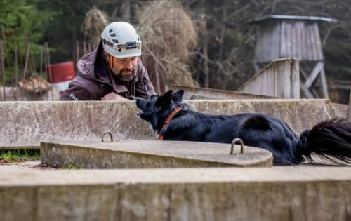 Úvod do výcviku záchranného psa