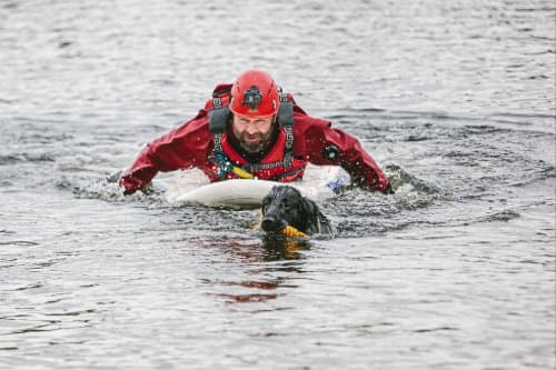 Psí záchranáři ve vodě – krok za krokem